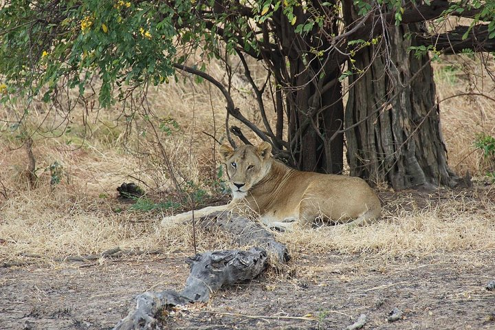 3 Days Tanzania Safari - Emnel Adventures - Photo 1 of 9