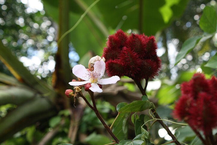 3inONE, Private Spice, Stone Town & Prison Island Tours - Photo 1 of 9
