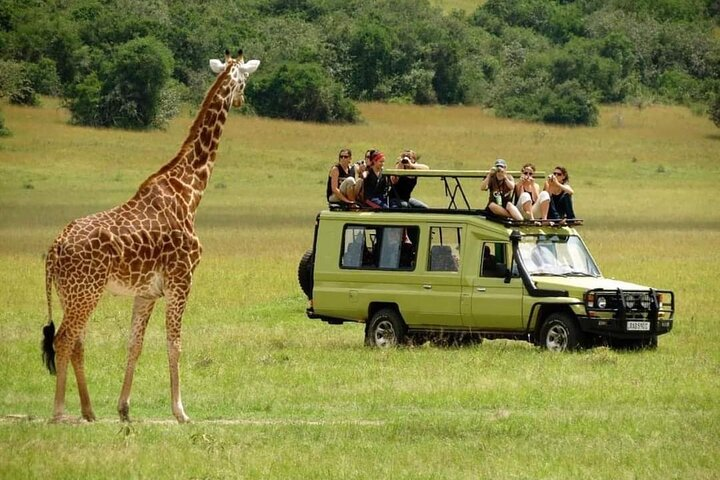 4-Day Majestic Group Tour in Safari - Photo 1 of 8
