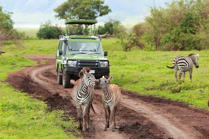 4-Day Northern Tanzania Camping Tour Safari - Photo 1 of 11