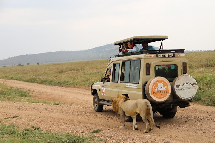 4-Day Private Safari Tour in Tanzania with Guide - Photo 1 of 11