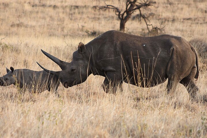 4 Day: Taste of Wildlife - Photo 1 of 8