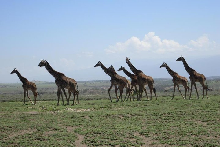 lake manyara