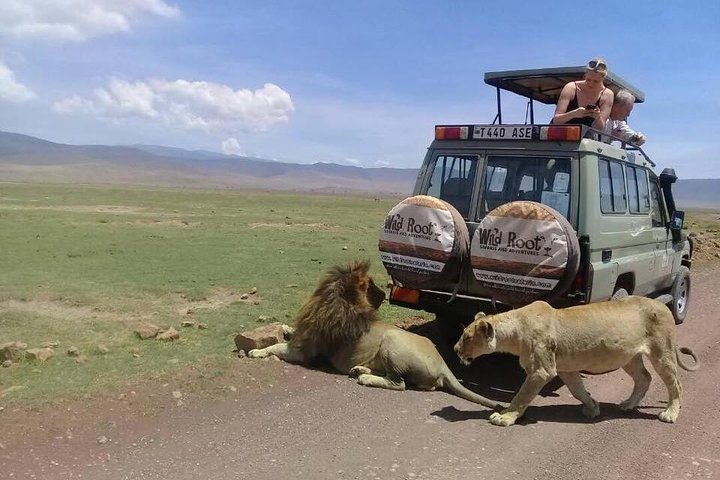 Ngorongoro crater