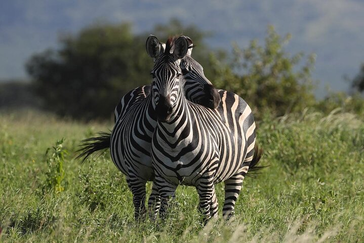 Enroute Africa Tours & Travels