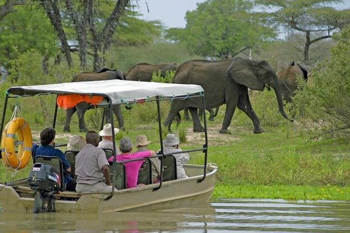 4-Days Safari From Dar es Salaam; Selous/Nyerere & Mikumi N. Park - Photo 1 of 10