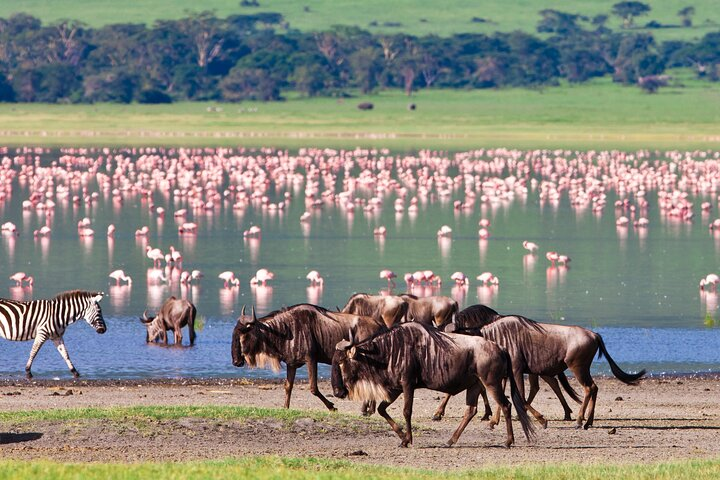 4 days Safari with Waterfalls and Hot Spring - Photo 1 of 7