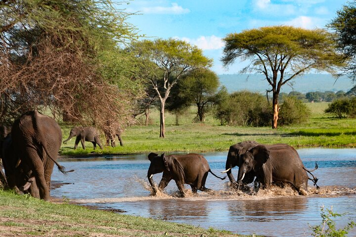  5-Day Group Tour Mid Range - Photo 1 of 3