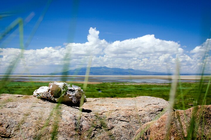 5-Day Jambo Tanzania Safari – Luxury Tour - Photo 1 of 6