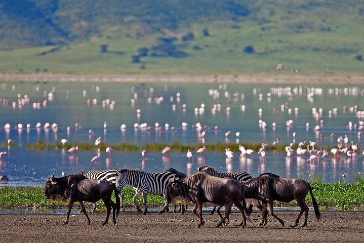 5 Day: Spectacular View of Ngorongoro Crater - Photo 1 of 12