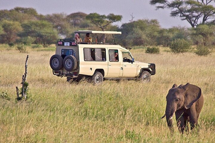 5-Day Private Serengeti Tour with Lake Manyara Adventure - Photo 1 of 13