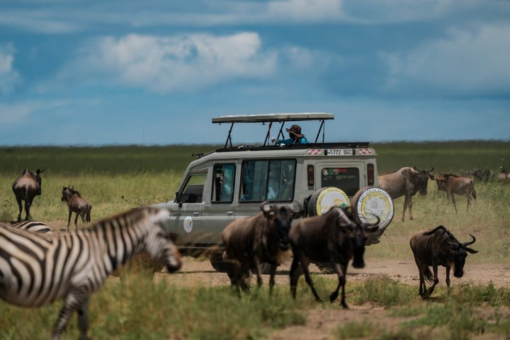 5 Day Private Tanzania Big Five & Serengeti ( Mid-Range) Safari. - Photo 1 of 15
