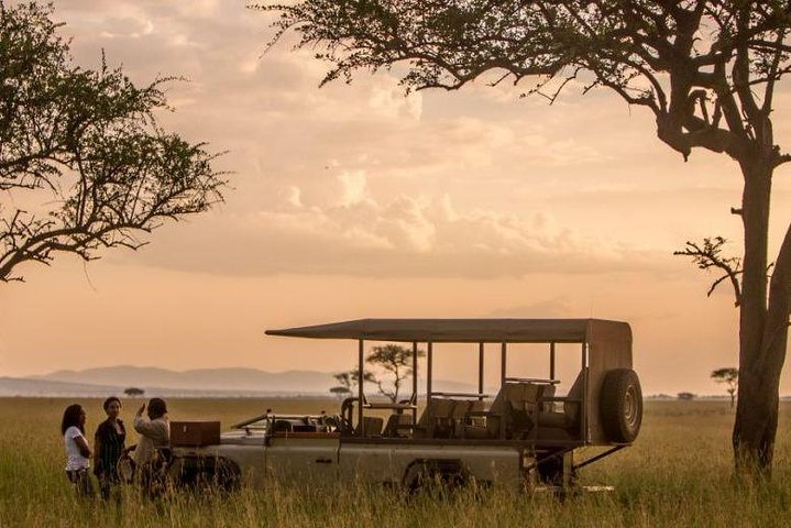 A view of the Serengeti plains during an afternoon game drive