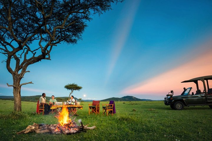 bush safari experience