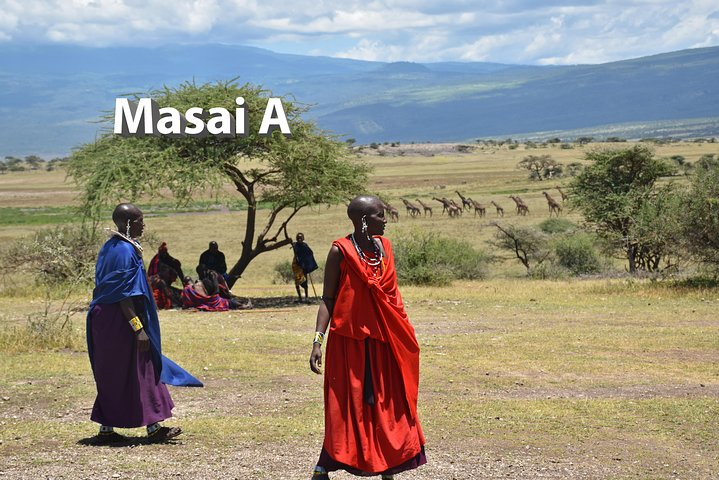 5 Days Budget Camping Safari in Northern Circuit - Photo 1 of 11