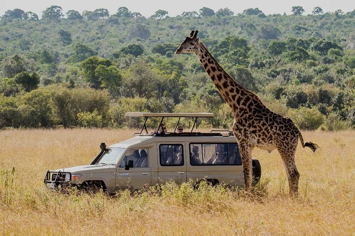 5 Days Budget Joining Adventure Camping Safari - Photo 1 of 2