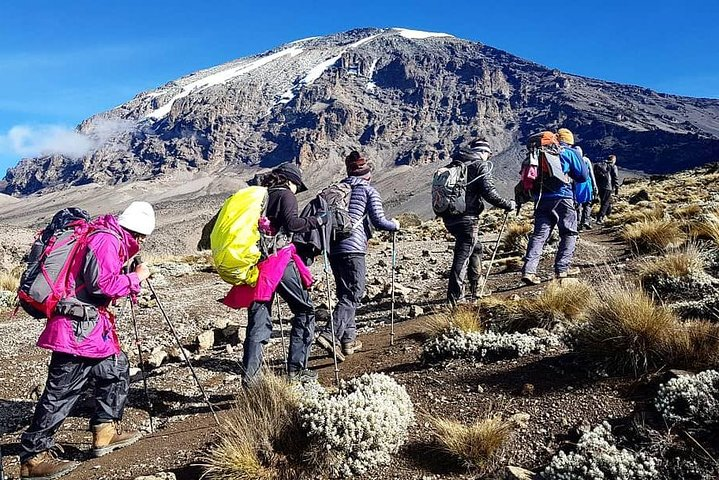 5 Days cheapest Kilimanjaro Marangu Route - Photo 1 of 10