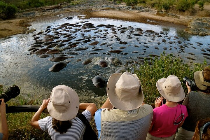 Tourists at the Serengeti Hippo Pool