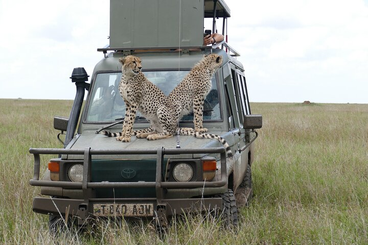 5 Days in to the heart of serengeti  - Photo 1 of 8