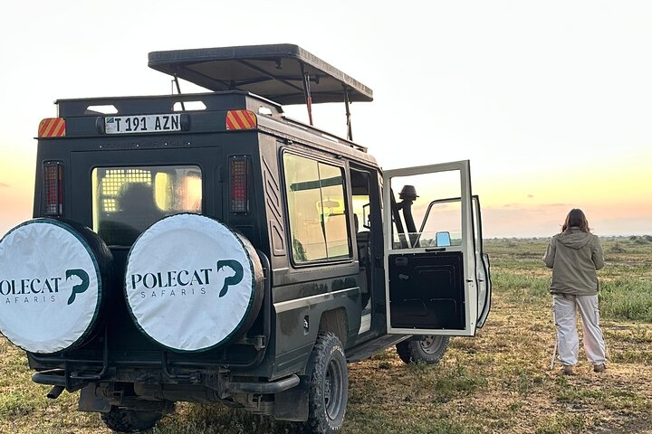 Polecat Sfari Jeep