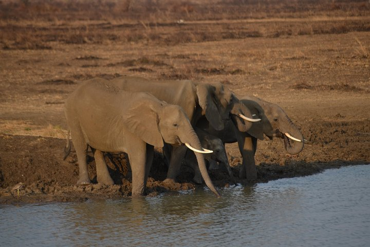 We sharing our amazing nature