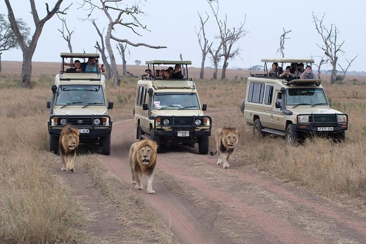 5 Days Safari - SELOUS & ZANZIBAR - Photo 1 of 18