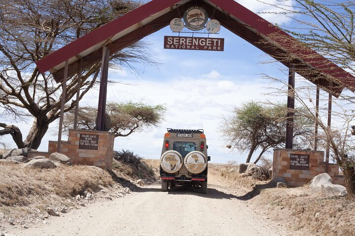 7 days Tanzania Midrange lodge safari 