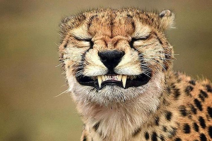 5 days Tanzania wilderness Camping tour. - Photo 1 of 10