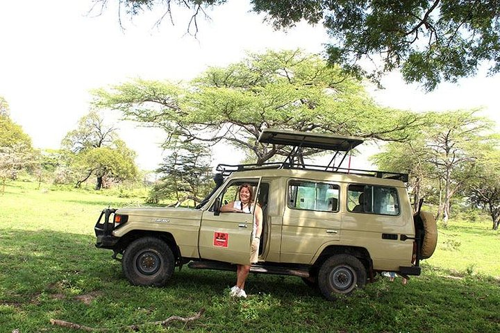 Our Safari Vehicle