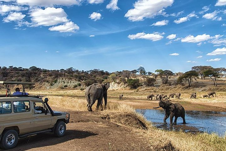 Lake Manyara safari 