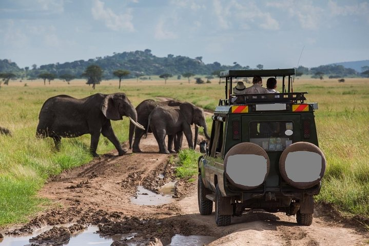 6-Day Best of Tanzania Wildlife Safari- Comfort - Photo 1 of 7