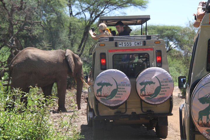 Our clients enjoy close view from our safari cars