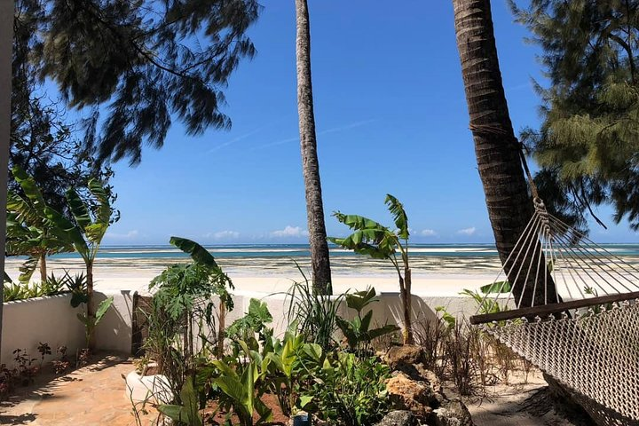 6 Day Selous Game reserve and Kilwa Beach+Snorkeling+Boat safari+Historical site - Photo 1 of 25