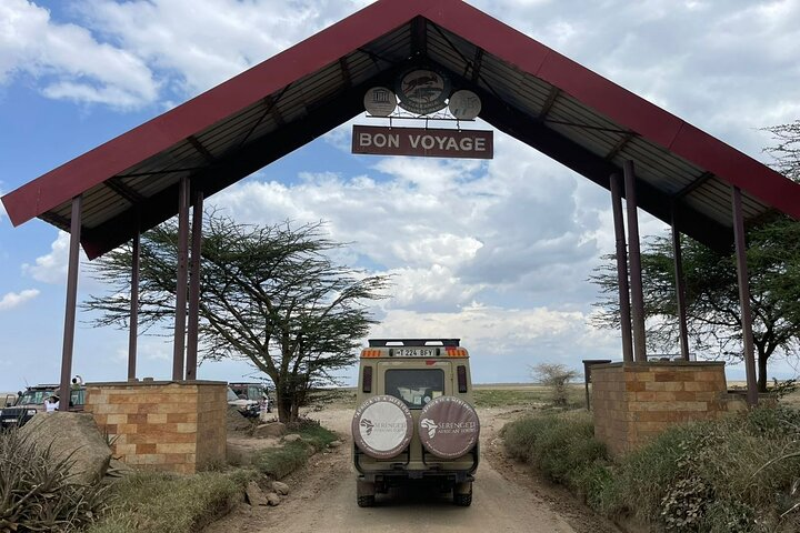 6 Day Tanzania Wildlife Mid range Safari - Photo 1 of 13