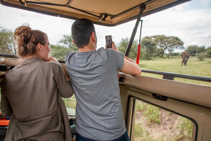 6 Days - Best of Nothern Parks Safari - Photo 1 of 4