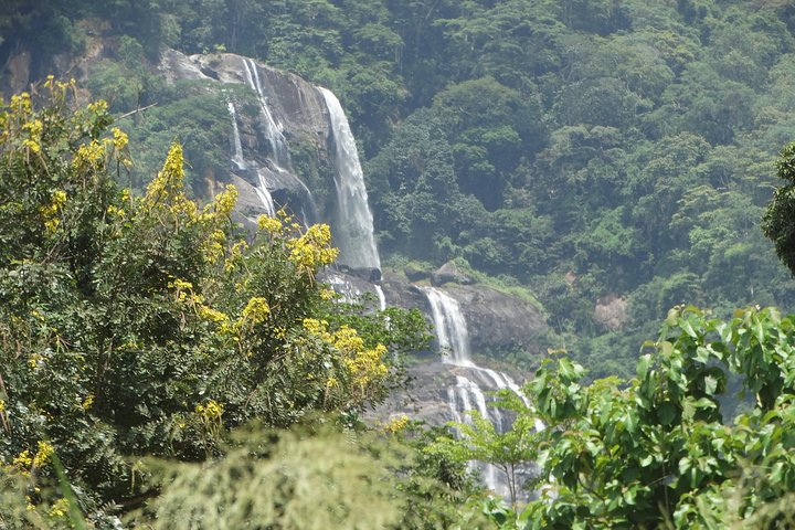 Udzungwa Sanje waterfalls 
