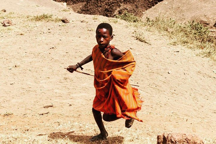 6 Days Tanzania Game drive camping Safari - Photo 1 of 10