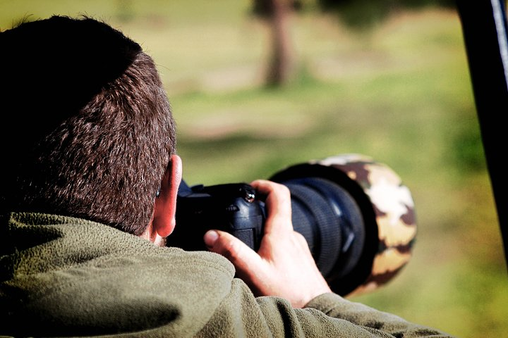 Get the fantastic sighting.