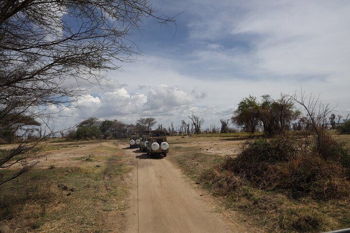 Arusha : 7 Day Safari Discover the real Africa from Lake Manyara - Photo 1 of 6