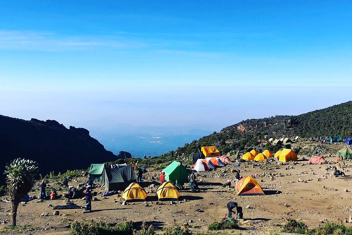 7-Day Machame Route Kilimajaro - Photo 1 of 25