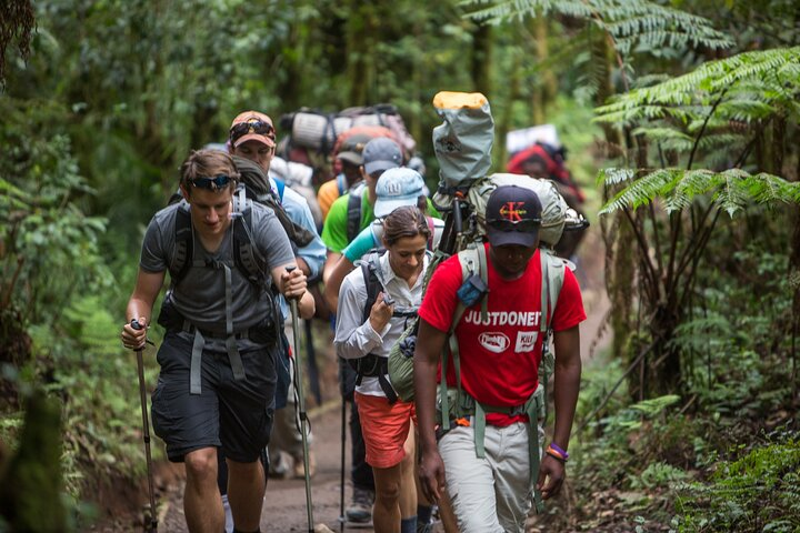 Climb Kili 7 Day Machame route