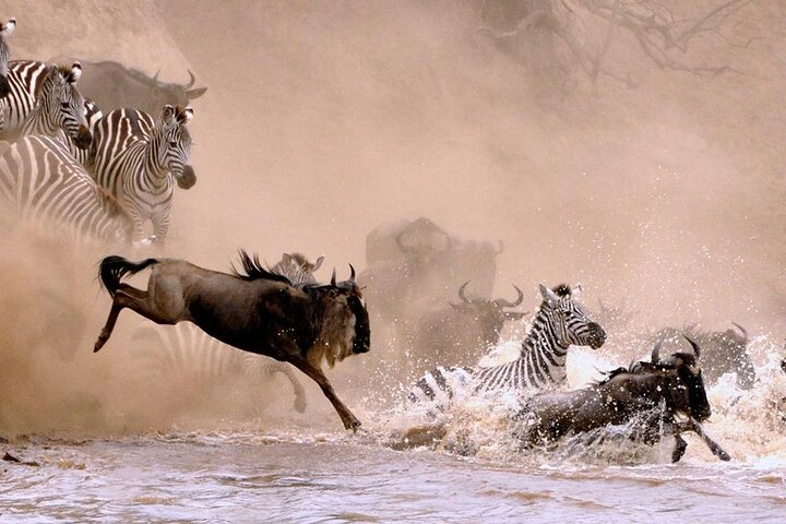 10 Days Wildebeest Migration Safari - Mid Range - Photo 1 of 2