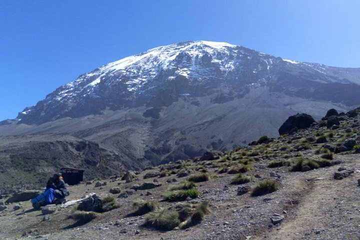 7 days Lemosho route - Photo 1 of 6