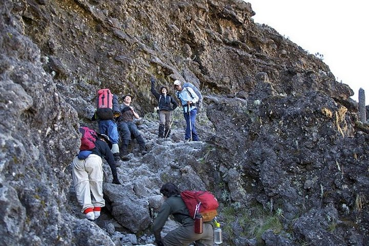 7 Days Machame Route Climb - Photo 1 of 6