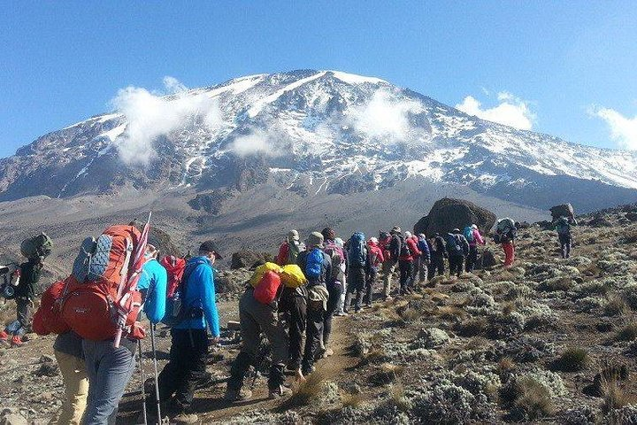 7 Days Mount Kilimanjaro Climb Lemosho Route - Photo 1 of 8