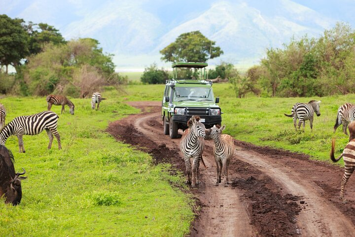 7 Days Safari Tour to Northern Tanzania National Parks - Photo 1 of 7