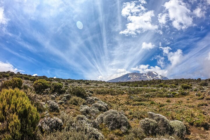 8-Day Hiking Tour Lemosho Route in Tanzania - Photo 1 of 6