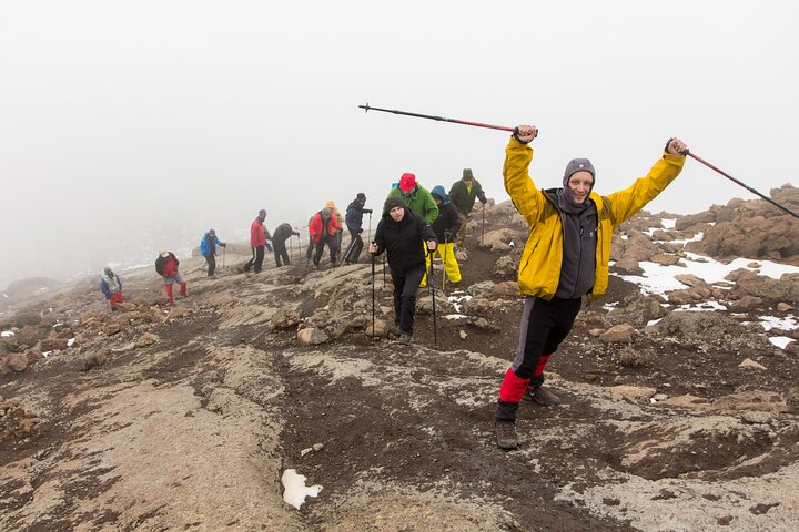 8-Day Private Kilimanjaro Trekking via Lemosho Route from Arusha - Photo 1 of 5