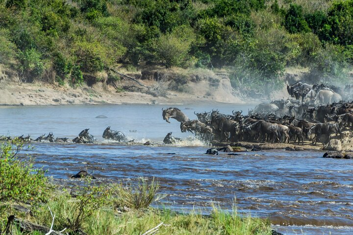 8-Day Tanzania Migration Footsteps - Midrange - Photo 1 of 25