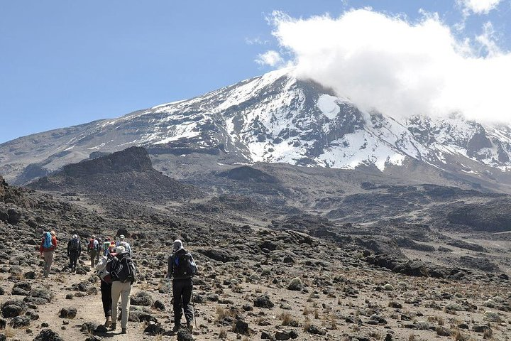 8 Days Lemosho Route - Climb Mount Kilimanjaro - Photo 1 of 6